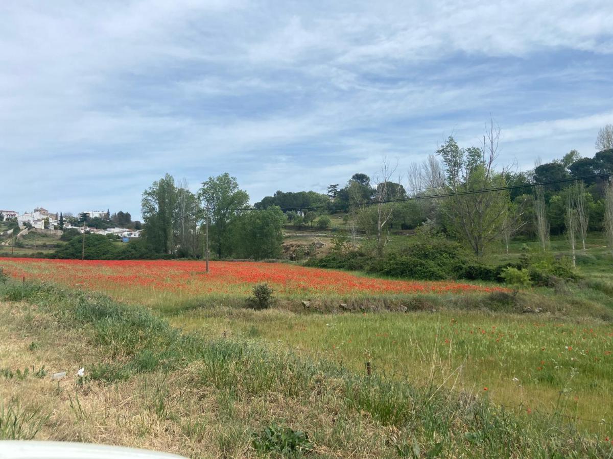 Apartamento Rural Casa Monte Daire Cazalla de la Sierra Dış mekan fotoğraf